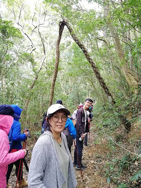 IMG_20201017_130109.jpg IMG_20201017_130109.jpg