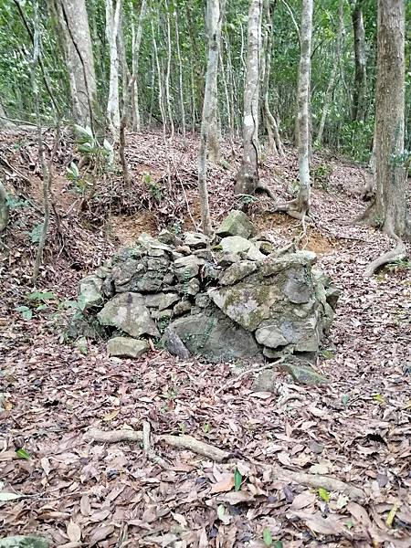 IMG_20201017_125319.jpg IMG_20201017_125319.jpg