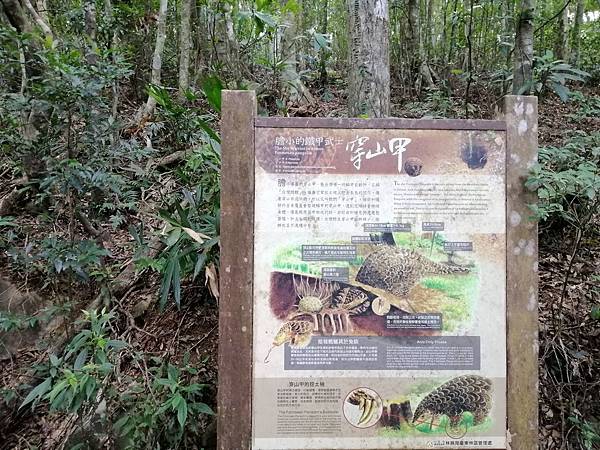 IMG_20201017_131125.jpg IMG_20201017_131125.jpg