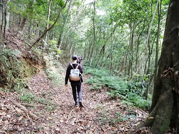 IMG_20201017_131755.jpg IMG_20201017_131755.jpg