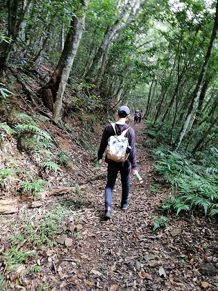 IMG_20201017_131805.jpg IMG_20201017_131805.jpg