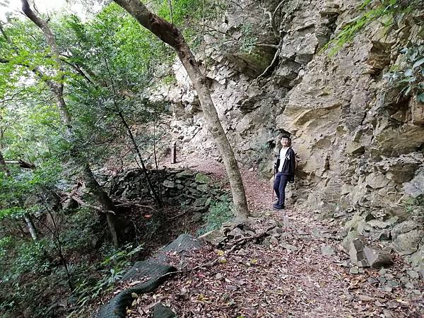 IMG_20201017_141856.jpg IMG_20201017_141856.jpg