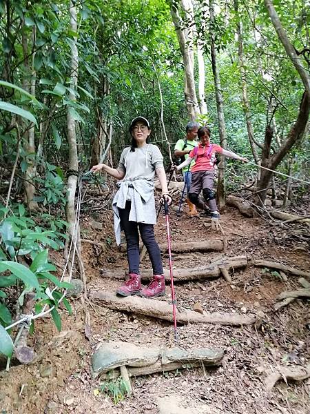 IMG_20201017_142618.jpg IMG_20201017_142618.jpg