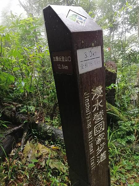 IMG_20201017_100255.jpg IMG_20201017_100255.jpg