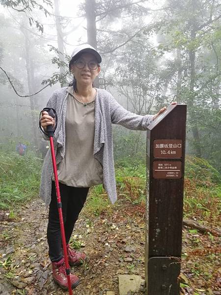 IMG_20201017_110727.jpg IMG_20201017_110727.jpg