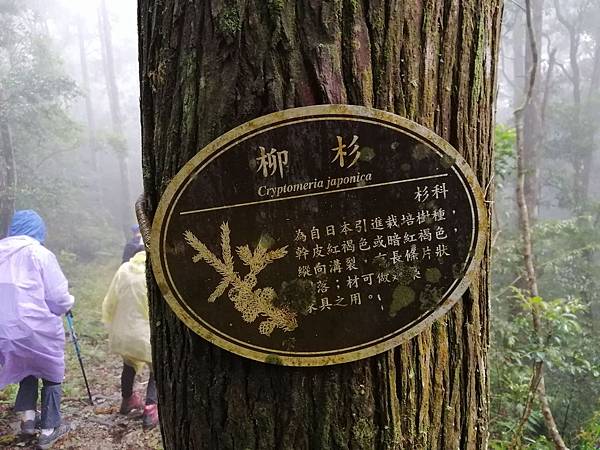 IMG_20201017_102111.jpg IMG_20201017_102111.jpg