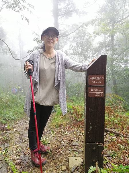 IMG_20201017_110729.jpg IMG_20201017_110729.jpg