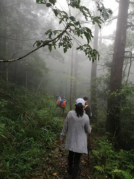 IMG_20201017_110738.jpg IMG_20201017_110738.jpg