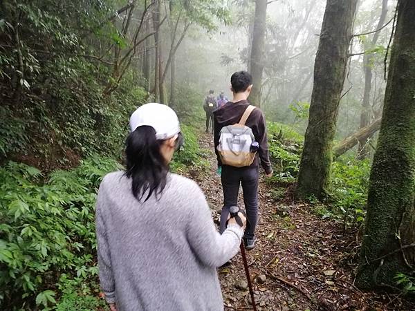 IMG_20201017_111351.jpg IMG_20201017_111351.jpg