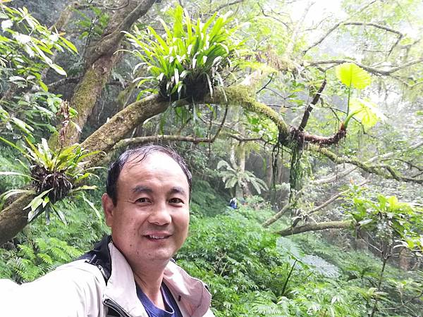 IMG_20201017_120419.jpg IMG_20201017_120419.jpg