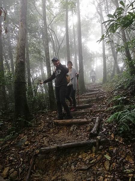 IMG_20201017_114231.jpg IMG_20201017_114231.jpg