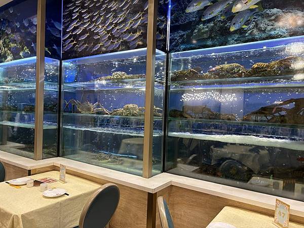 2025-10-8 返回gilroy,從南部出口回