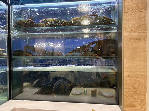 2025-10-8 返回gilroy,從南部出口回