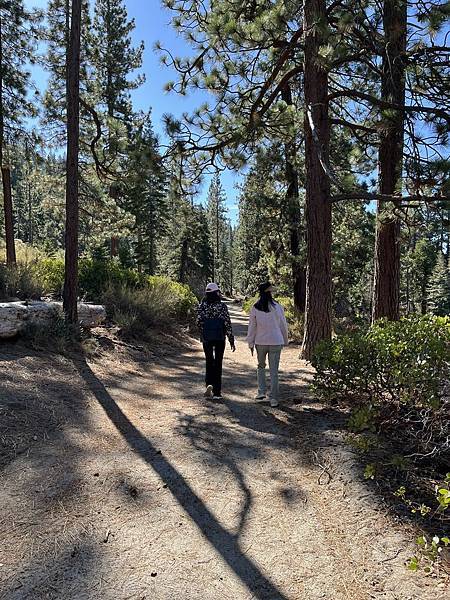 2025-10-8 返回gilroy,從南部出口回