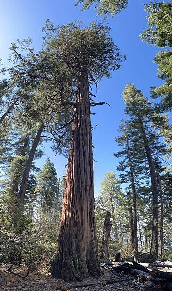 2025-10-8 返回gilroy,從南部出口回