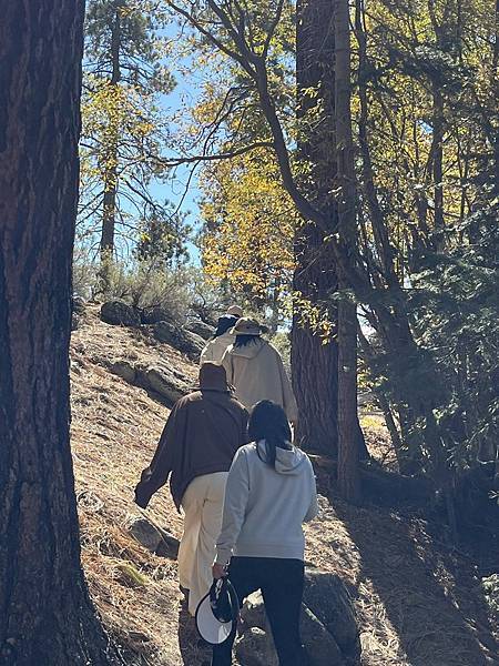 2025-10-8 返回gilroy,從南部出口回