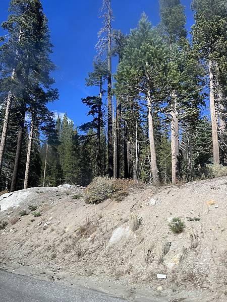 2025-10-8 返回gilroy,從南部出口回