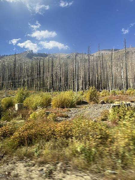 2025-10-8 返回gilroy,從南部出口回