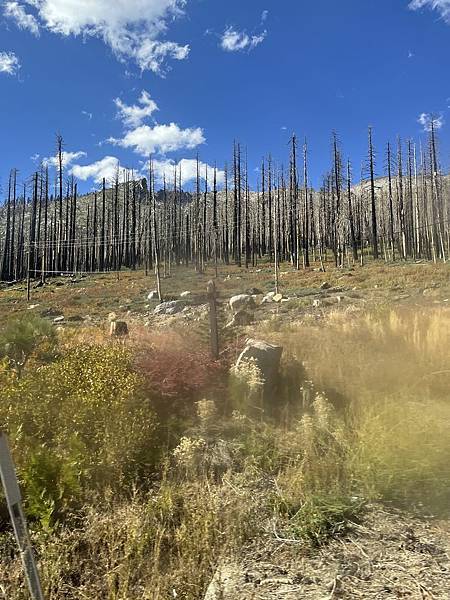 2025-10-8 返回gilroy,從南部出口回