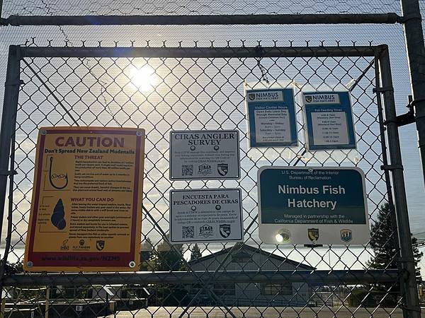 2025-10-8 返回gilroy,從南部出口回