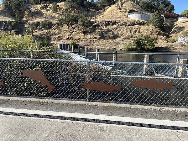 2025-10-8 返回gilroy,從南部出口回