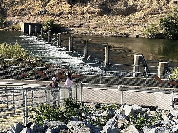 2025-10-8 返回gilroy,從南部出口回