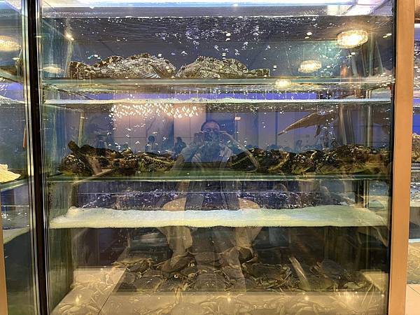 2025-10-8 返回gilroy,從南部出口回