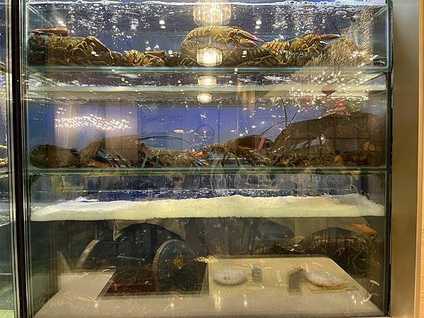 2025-10-8 返回gilroy,從南部出口回