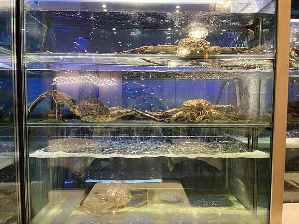 2025-10-8 返回gilroy,從南部出口回