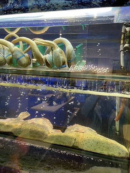 2025-10-8 返回gilroy,從南部出口回