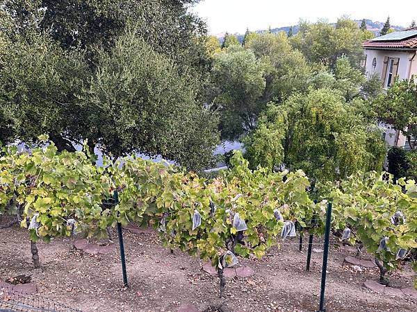 2025-10-9 gilroy outlet 一日遊（中餐