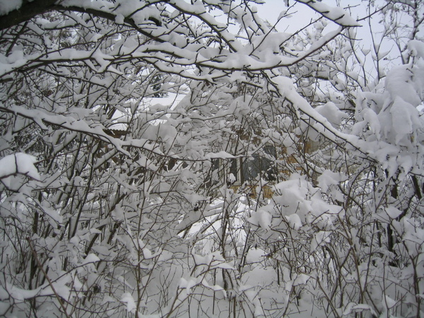 芬蘭雪景1