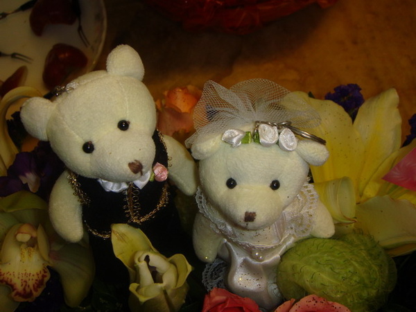 DSC00131_大小 .JPG
