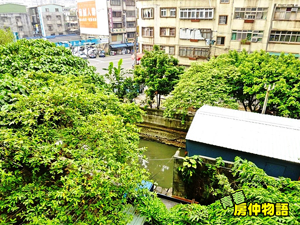 後陽台景觀1