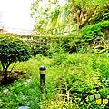 一樓後花園