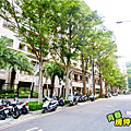 元利和平社區旁街道2.PNG