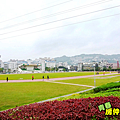 中和社區運動公園一景.PNG