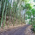 nEO_IMG_DSC00795.jpg