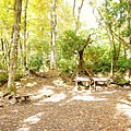 nEO_IMG_DSC00884.jpg