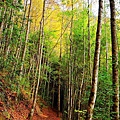 nEO_IMG_DSC00920.jpg