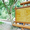 nEO_IMG_DSC_0015.jpg