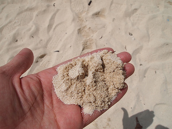 19.潔淨的沙子.jpg