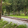 nEO_IMG_P4227476.jpg