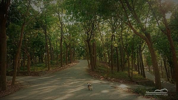 DSC_0144b.JPG DSC_0144b.JPG