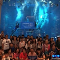 20170803-37-水族館前合照.jpg