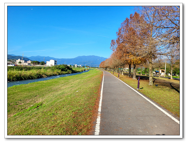 安農溪落羽松，視野廣闊風景宜人