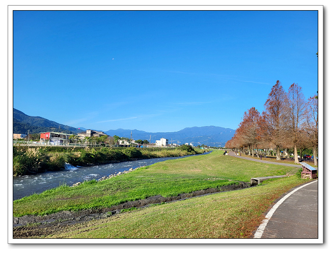 安農溪落羽松，視野廣闊風景宜人