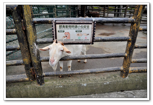 六福村主題樂園，野生動物園區