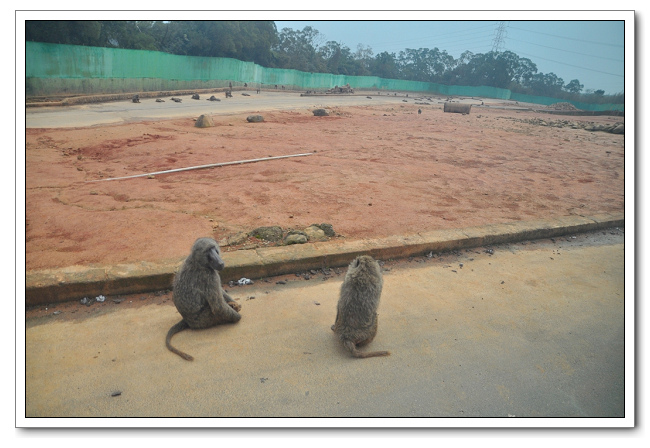 六福村主題樂園，野生動物園區