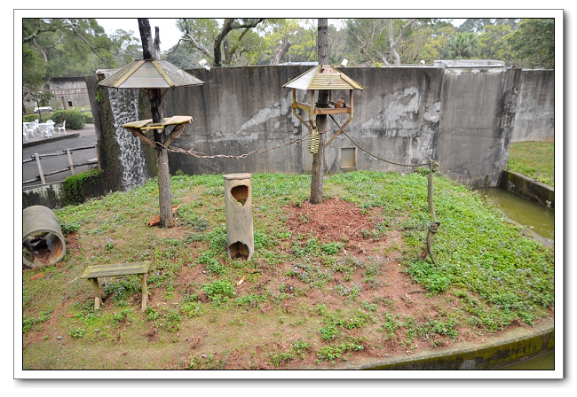 六福村主題樂園，野生動物園區